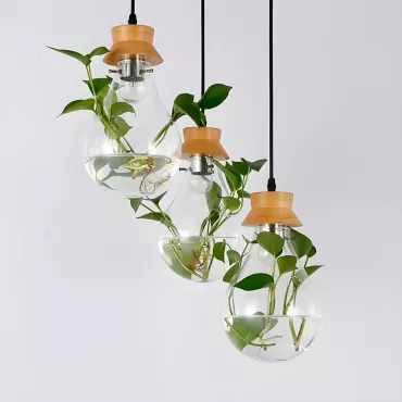 Pendente Para Plantas, Vidro e Madeira, Base E-27, LexLight