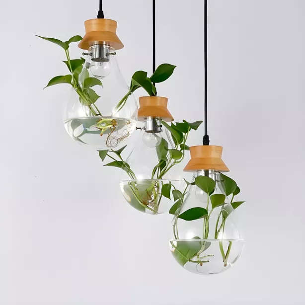 Pendente Para Plantas, Vidro e Madeira, Base E-27, LexLight